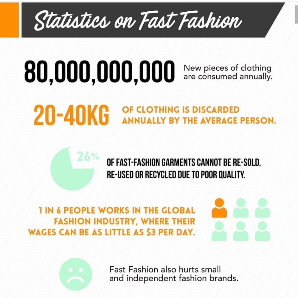 Fast Fashion - Picture 2 of 7